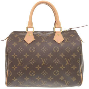 Louis Vuitton Speedy Monogram handbag LV